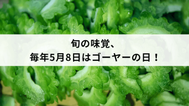 【沖縄】旬の味覚、毎年5月8日はゴーヤーの日！